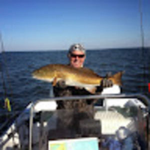 Meet your Posher, Tommy